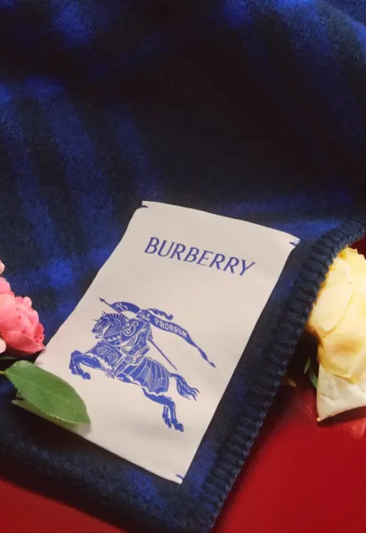 - burberry-card.webp
